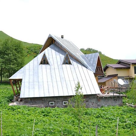 ホテルGudauri House Of The Sun エクステリア 写真
